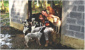 Canine and Homeless in Phuket? The Hague Has Got Your Back 