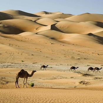 Saudi Arabia: Not the “Dreadful” Place Some Would Have You Believe