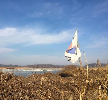 Seoul International School Explores Korean Demilitarized Zone and its Biodiversity