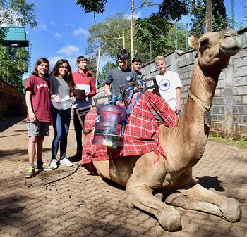 ISK Engineering Students Tackle  Deforestation, With Camels!