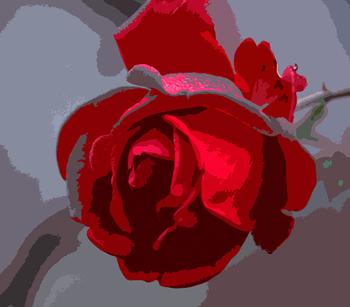 What’s in a Name? Thoughts From a “Talent Developer”