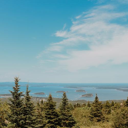 Confronting Place Ignorance in Education