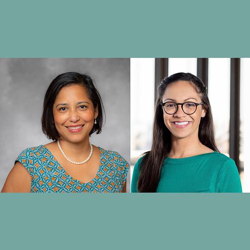 Taking Action: Advancing Social Justice through the Transformation of International Schools 