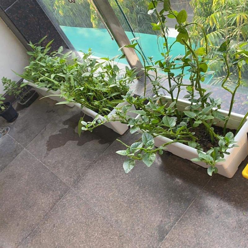 Coping with Quarantine