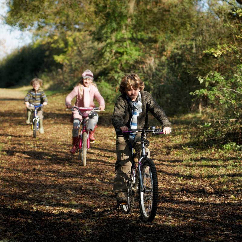 Don’t Just Learn About the Bike, Ride the Bike!