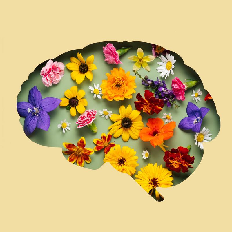 Leading With the Whole System: School-Based Social and Emotional Learning