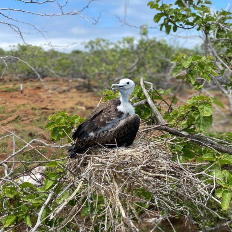 Supporting Stayers To Thrive: Invest in Your Nest