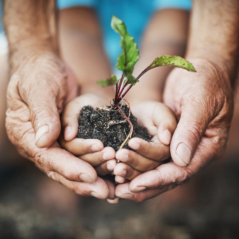 Why Growth Mindset Is Crucial for All Educators