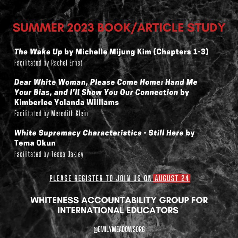 Whiteness Accountability Group Summer Study