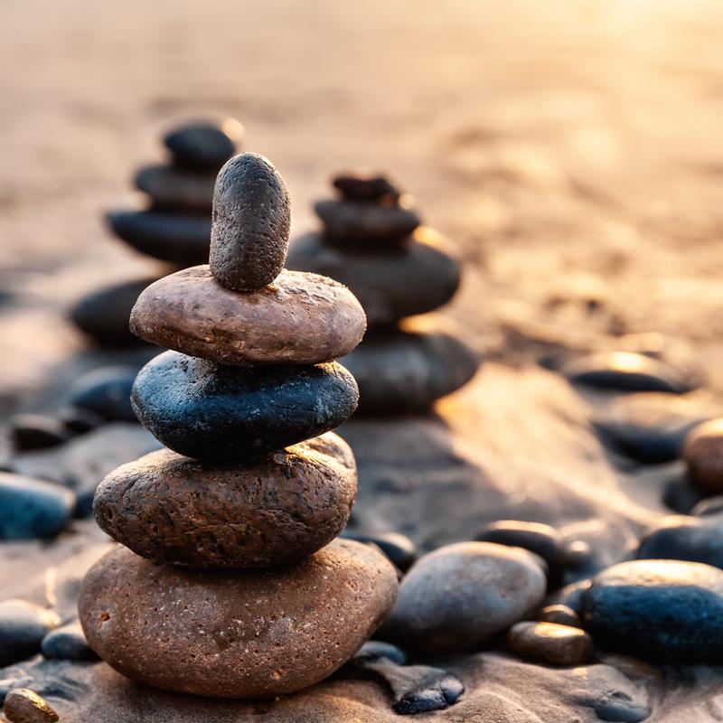 A Human Learning Ecosystem for Our Times