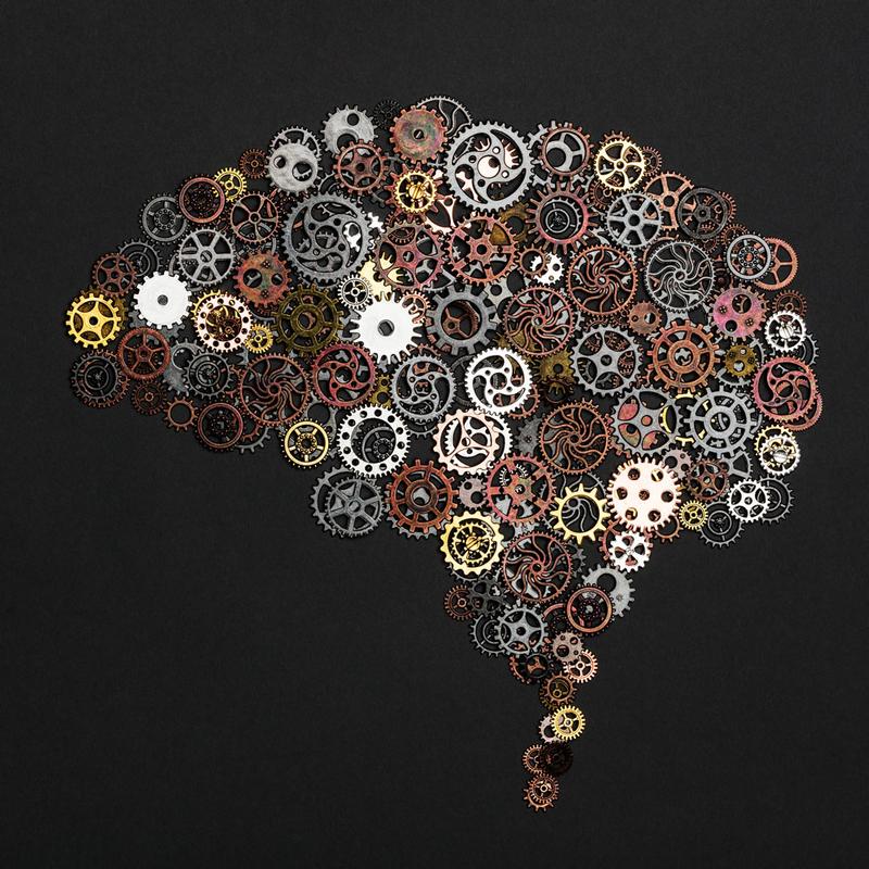 Metacognitive Strategies for Supporting SEN Students 