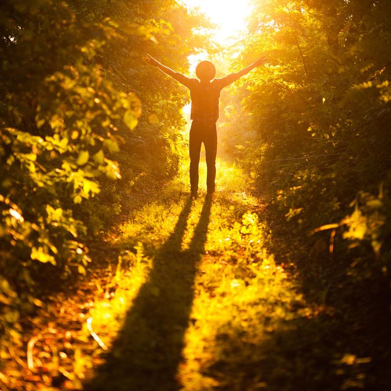 Wonder as a Device for Inspiring Change