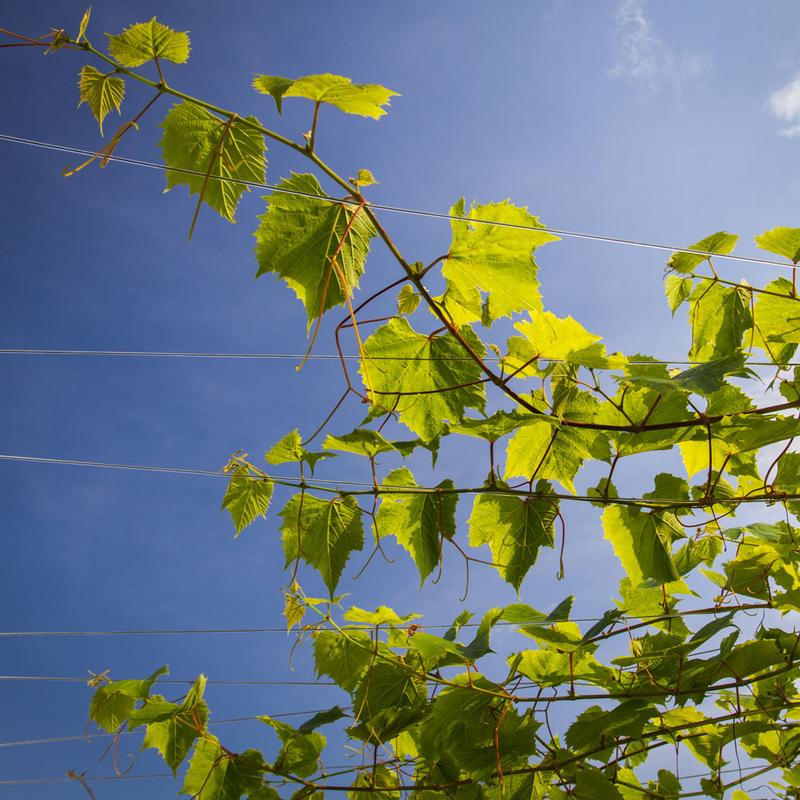 Learning and Sharing as the Editor of TIE