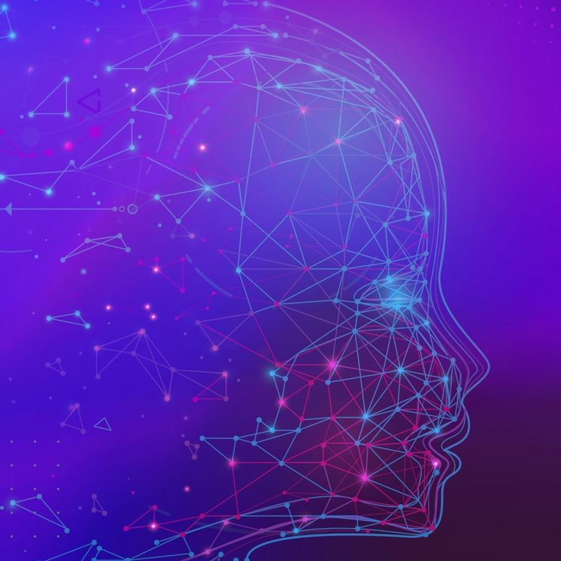 Navigating International Education: Insights from Adelaide to Ulaanbaatar