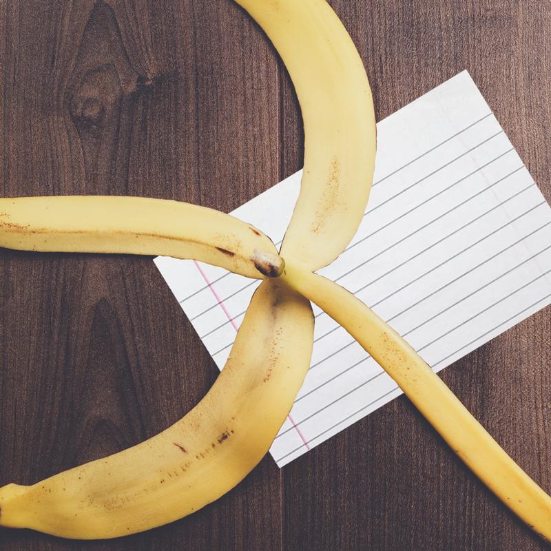 Unpeeling the PEEL Paragraph: Supporting Multilingual Learners 