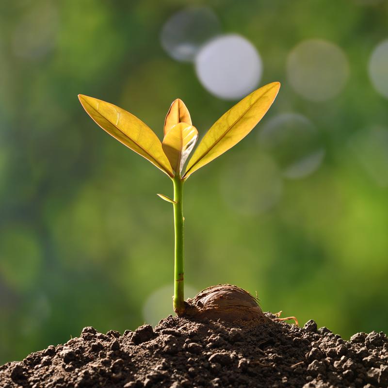 Nurturing Passion for “Glocal” Citizenship