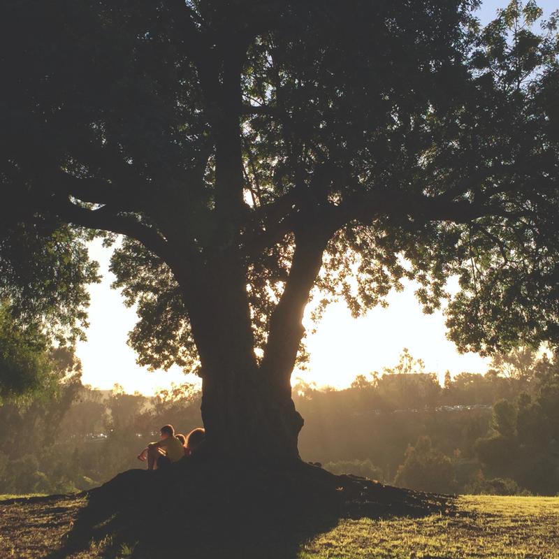 Teaching Science With a More-Than-Human Perspective